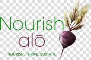 Nourish alō Holistic Nutrition   Root Vegetable  HD Png Download