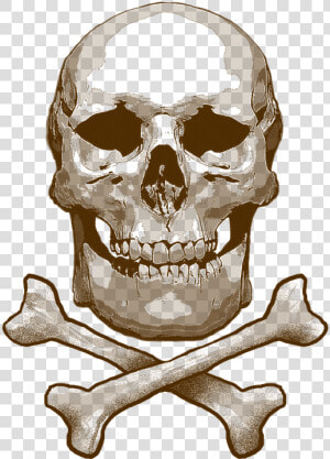 Skull And Cross Bones  Skull  Toxic  Bones  Skeleton   Skull  HD Png Download