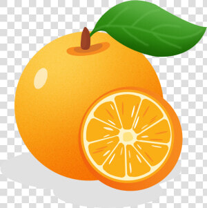 Transparent Orange Fruit Png   برتقال كرتون Png  Png Download