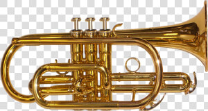 Brass Band Instrument Png Picture   Brass Instruments Png  Transparent Png