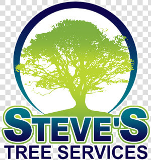 Steve S Tree Service   Oak Tree Silhouette  HD Png Download