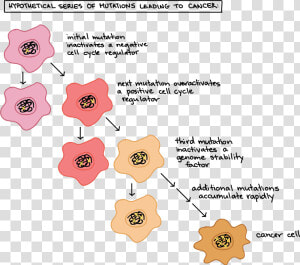 Formation Of Cancer Cells  HD Png Download