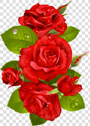 Rose Cliparts Transparent Decoration   Watercolour Red Flower Png  Png Download