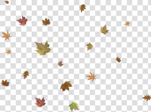 Falling Leaves Png   Autumn Leaf Falling Png  Transparent Png