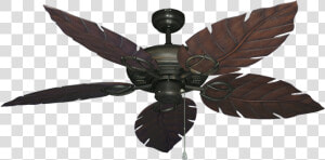 Tropical Dixie Belle Ceiling Fan With Light  HD Png Download