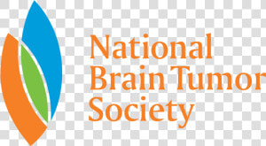 Client   National Brain Tumor Society  HD Png Download