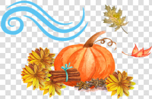 Clipart Thanksgiving Gourd   Jack o  39  lantern  HD Png Download