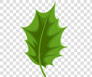 Holly Leaf Commercial Use Resource Upgrade To Premium   Holly Leaves Vector  HD Png Download