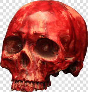 Bloody Resin Skul   Bloody Skull Png  Transparent Png