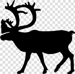 Caribou 20clip 20art   Caribou Clipart  HD Png Download