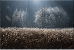 Mystical   Frost  HD Png Download