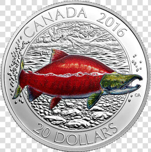 Canadian Mint Turtle Quarter  HD Png Download