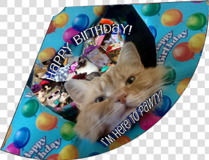 Here To Pawty Birthday Hat   Cat Grabs Treat  HD Png Download