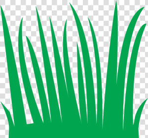 Sea Grass Clipart Tall   Simple Grass Cartoon  HD Png Download