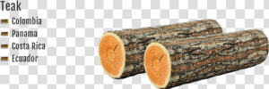 Teak Wood Suppliers  Exporters  Southern Yellow Pine   Teak Wood Log Png  Transparent Png