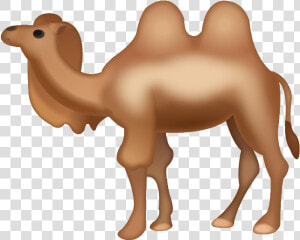 Upside Down Camel Emoji  HD Png Download