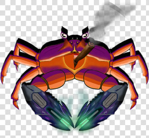  img    Freshwater Crab  HD Png Download