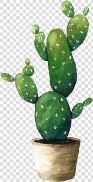  cactus  cactus🌵  plant  cactuslover  watercolor  green  HD Png Download