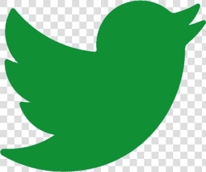 Follow Us On Our Social Media Networks To Be Kept Up   Twitter Logo Png Green  Transparent Png