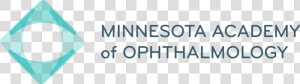 Minnesota Academy Of Ophthalmology   Seton Healthcare Family  HD Png Download