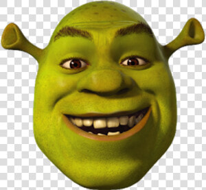 Shrek Meme Dank Mlg Funny Fun   Shrek The Third  HD Png Download