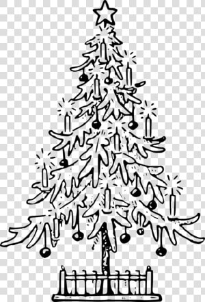 Christmas Christmas Tree Confer   Christmas Tree Drawing Png  Transparent Png