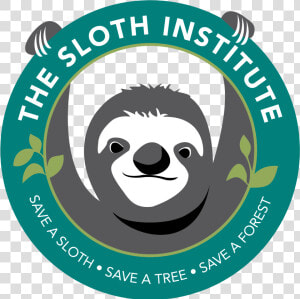 Sloth Institute Sloth  HD Png Download