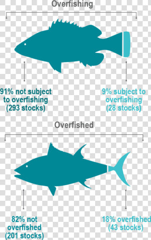 Fy2018 Stock Status Fish Graphic 01 01   Number Of Overfished Stocks  HD Png Download