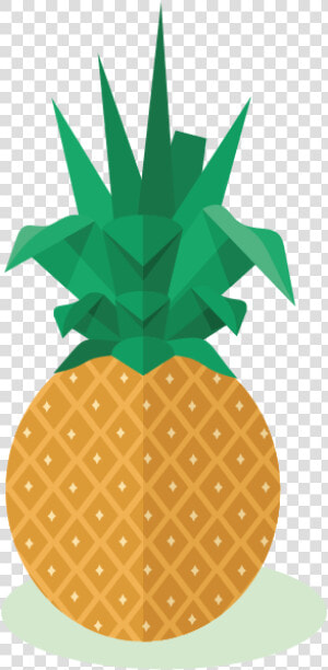 Pineapple   Pineapple Drawing Cartoon  HD Png Download