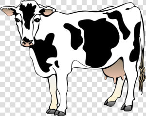 Cow  Barn  Farm  Standing  Animal  Mammal  Spots   Cow Clipart  HD Png Download