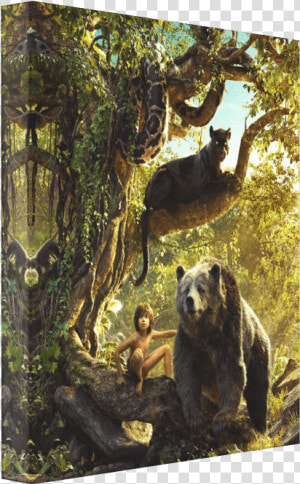 Jungle Book Canvas   Jungle Book 2016 Square  HD Png Download