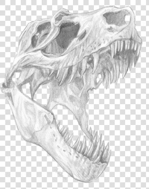 Collection Of Free Dinosaur Drawing Skull   T Rex Skull Design  HD Png Download