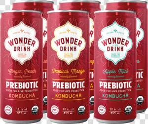 Prebiotic 6 pack   Wonder Drink Kombucha  HD Png Download