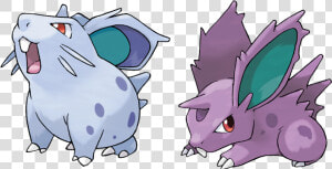 Pokemon Nidoran  HD Png Download