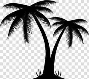 Arecaceae Euclidean Vector Illustration   Silhouette Palm Trees Png  Transparent Png