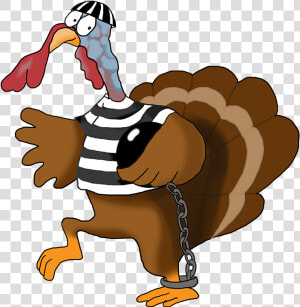 Running Turkey Clip Art Free   Cute Thanksgiving Turkey Running  HD Png Download