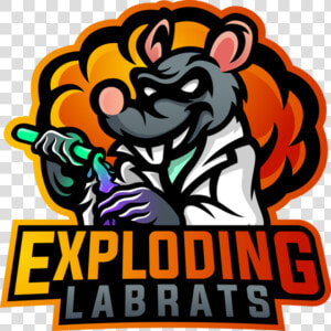 Exploding Labrats  HD Png Download