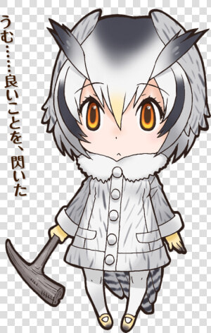 Japari Library   Northern White Faced Owl Kemono Friends  HD Png Download