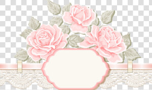  ftestickers  flowers  roses  lace  banner  divider   Garden Roses  HD Png Download