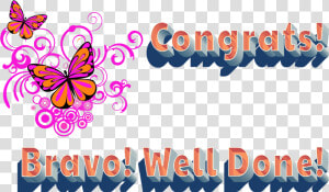 Congrats Bravo Well Done Png Image File   Brush footed Butterfly  Transparent Png