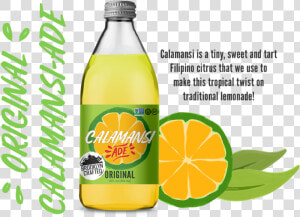 Productimage Calamansi Original   Brooklyn Crafted Original Lite Calamansi Soda  HD Png Download