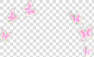  pink  butterflies  butterfly  overly  filter  crownn   Butterfly Filter Transparent  HD Png Download