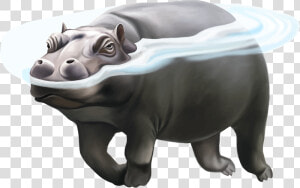 Hippo Png Picture  Transparent Png