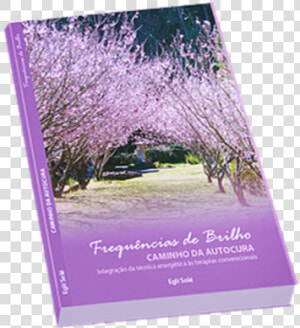 Frequencias De Brilho Livro  HD Png Download