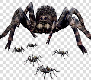 Earth Defense Force Spiders  HD Png Download