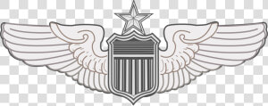 Pilot Wings Png   Enlisted Aircrew Wings  Transparent Png