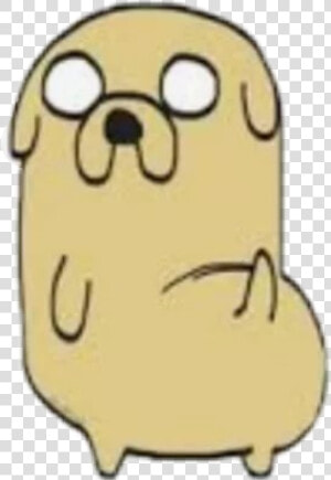  jaje  bog jake  dog  jakefromadventuretime  adventuretime   Png Dog  Transparent Png