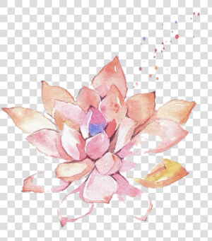 Ftestickers Watercolor Painting Flower Succulent Pink   Succulent Flower Transparent Watercolor  HD Png Download