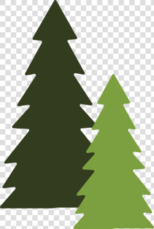 Pine Trees Svg Cut File   Pine Trees Png File  Transparent Png