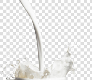 Free Png Milk Glass Splash Png Png Image With Transparent   Glass Milk Splash Png  Png Download